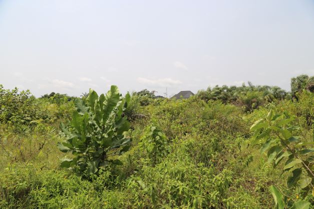 LAND AVAILABLE FOR SALE