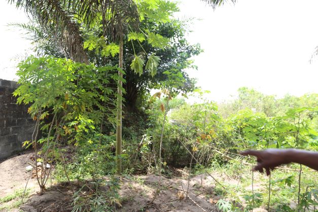 LAND AVAILABLE FOR SALE