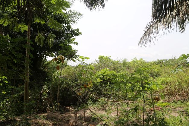 LAND AVAILABLE FOR SALE